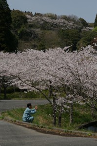 携帯でも撮りたくなっちゃうよね