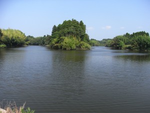 夷隅川＠桑田