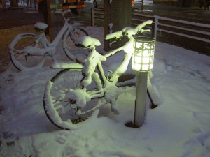 某駅前の自転車