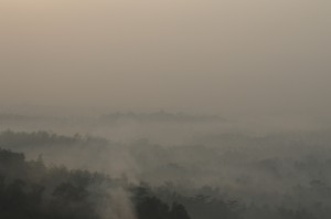 Borobudur 1