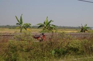 Jalan Ke Banyumas