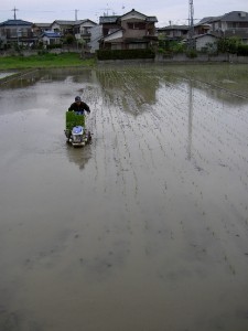 機械的田植